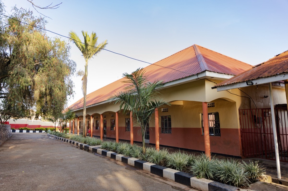 Walkway with palm trees beside classrooms